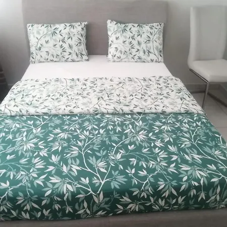 Location D'appartement Entierement Meuble Pres De Geneve